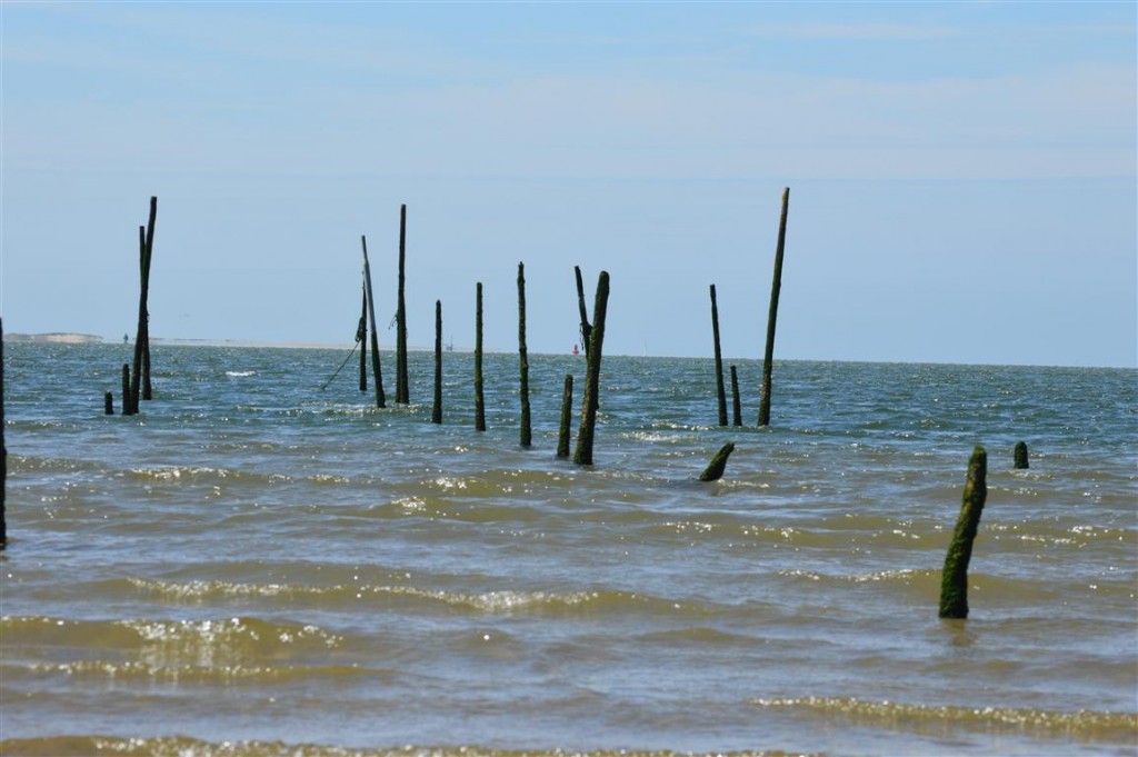 Strand Hellevoetsluis